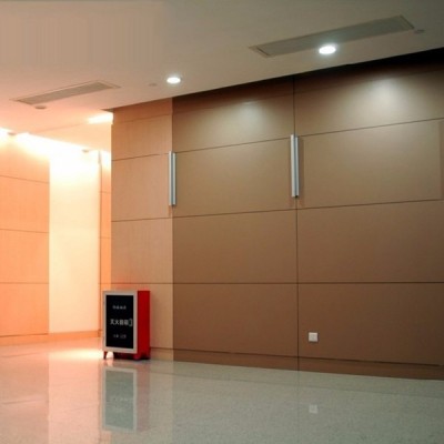 Chinesehpl New design internal used for wall cladding and matte finish with low price